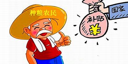 ?種糧補(bǔ)貼少了？