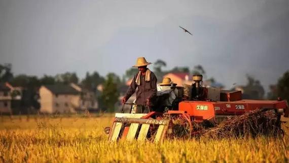 2017年種植、養(yǎng)殖、加工補(bǔ)貼匯總