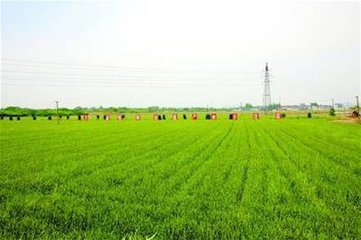 國家定調“兩區”建設，真正原因有3點