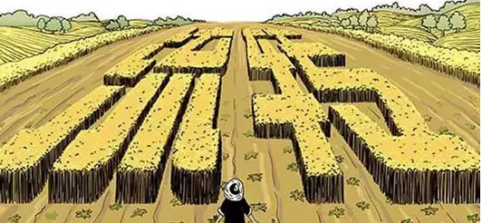 土地流轉遇冷，今后要怎樣流轉？