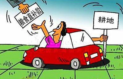 2017年農村糧食補貼，具體補貼標準出來了！