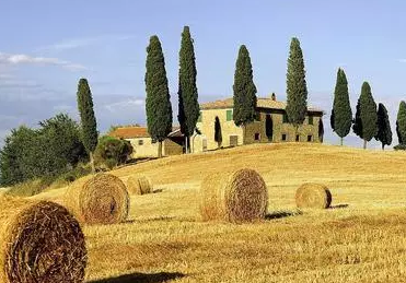 產業分析|秸稈蘊藏千萬財富，或成農業經濟新增長點