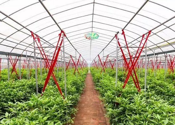 規?；N植如何“適度”經營？（種植大戶必看）