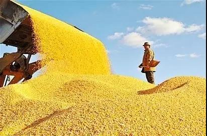 微信圖片_20171113092844 4.jpg