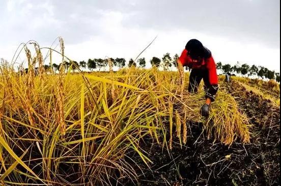 微信圖片_20171113092850 5.jpg