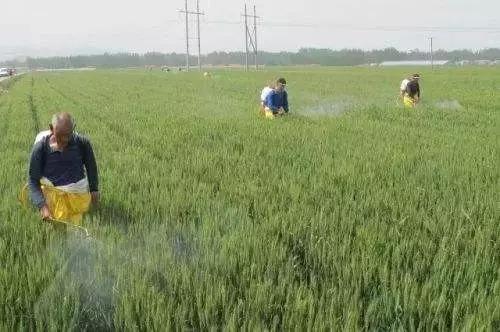 微信圖片_20171113092832 2.jpg