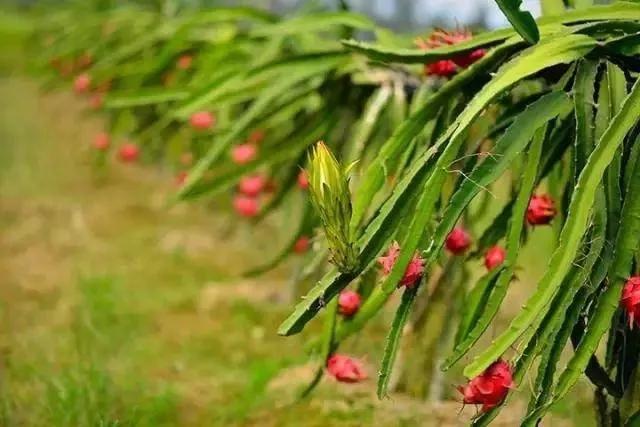 微信圖片_20171113092839 3.jpg