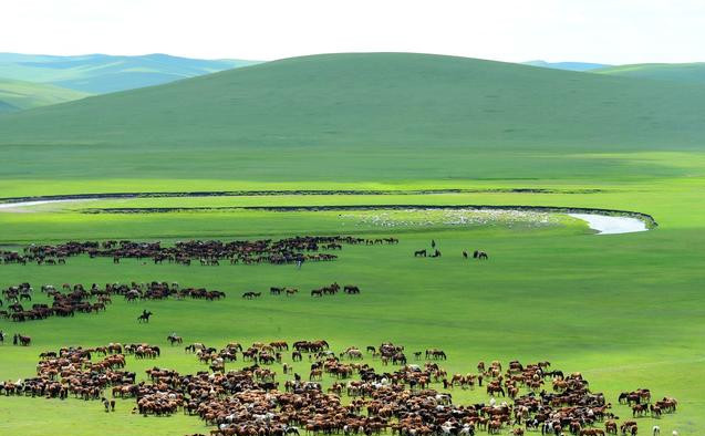 6c2e00038e629926e622 4_副本.jpg