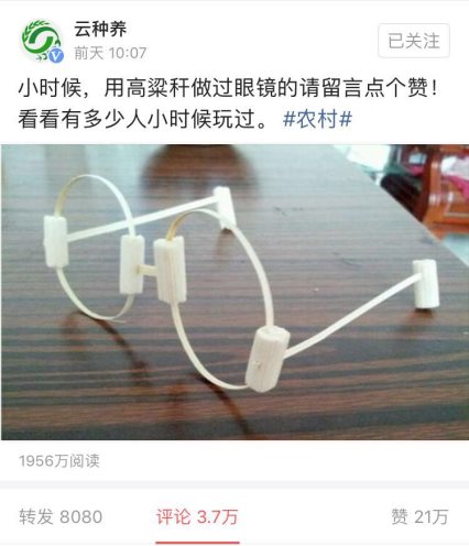 農業創新！云種養“高粱眼鏡”被刷屏