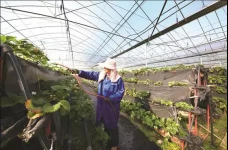 微信圖片_20180730100919 2.jpg