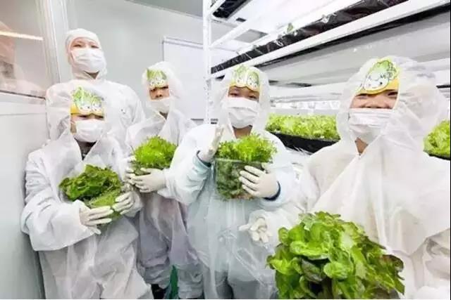 微信圖片_20180730100927 3.jpg