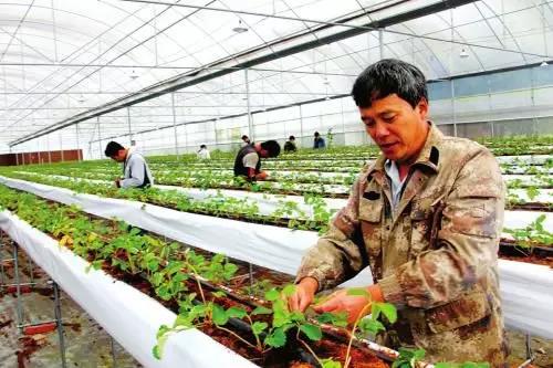 微信圖片_20180730100908 1.jpg