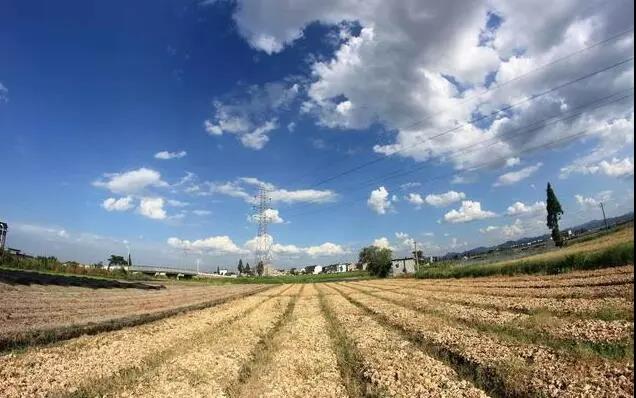 33.jpg 透視6個(gè)農(nóng)業(yè)失敗案例:盲目、跟風(fēng)、缺乏經(jīng)驗(yàn)、思維……你也在犯錯(cuò)