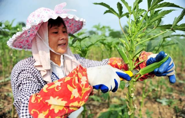 2.jpg 透視4個農產品營銷故事,看普通農產品如何賣出高價