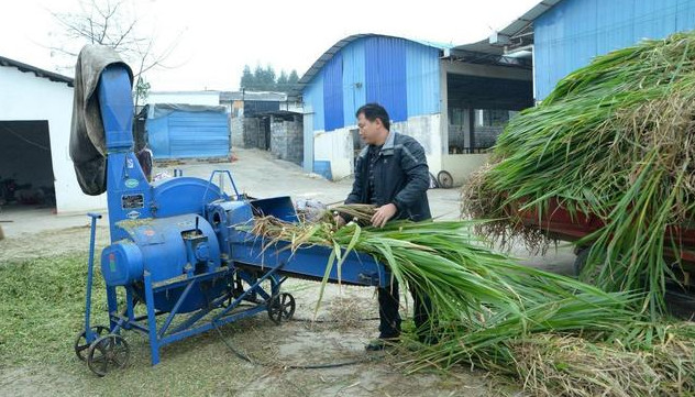 44.jpg 種植業如何跳出失敗怪圈?3條路子送給你,建議收藏