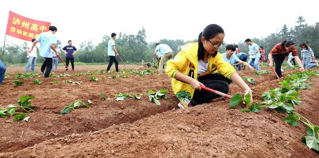 47.jpg 種植業如何跳出失敗怪圈?3條路子送給你,建議收藏