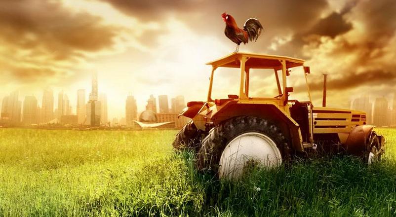 15大農業合作模式（含案例）