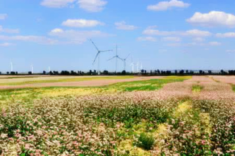 有合作社的注意了：這些優惠沒享受到可就虧大了！
