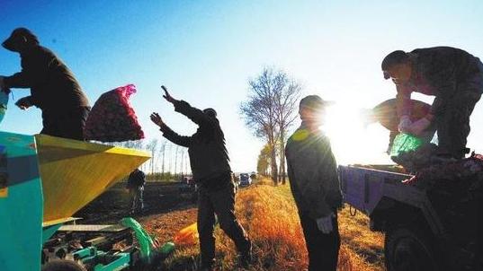 這么多合作社，到底啥樣的才掙錢