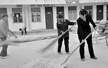 頭條|合作社之間存在哪些惡性競爭嚴重 ？