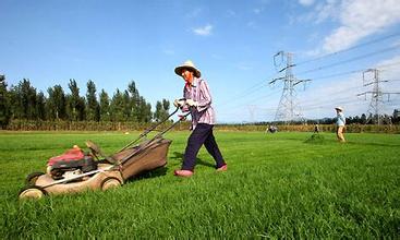 合作社5大商業營銷手段，再不行動就晚了！
