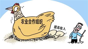 合作社完整注冊(cè)只需七步走！