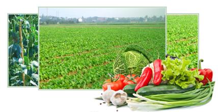 新成立的農業專業合作社如何經營？