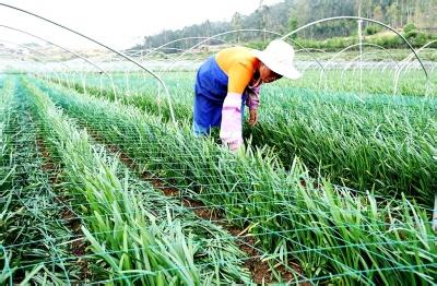 農民合作社到底該如何經營？