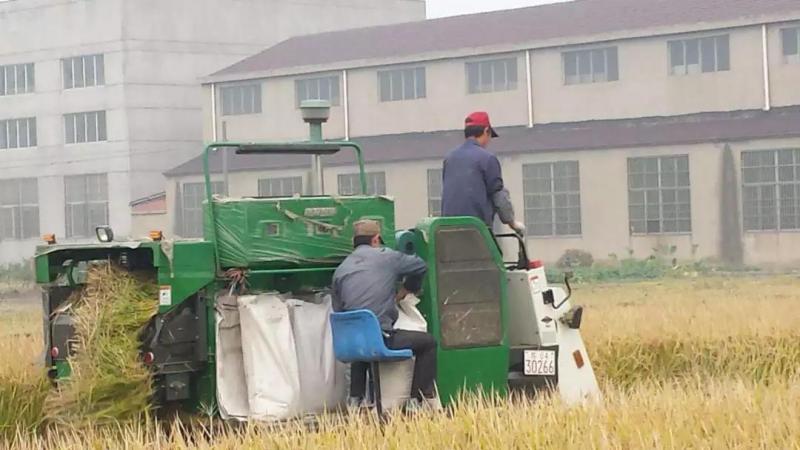 31.jpg 無法容忍!80%以上合作社淪為空殼,2019國家必將重拳打擊