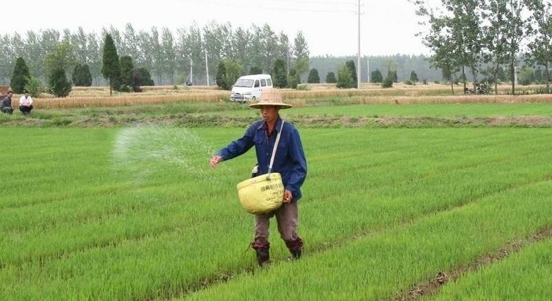 新型肥料之戰！阜豐、司爾特、金正大、芭田股份撕逼開啟