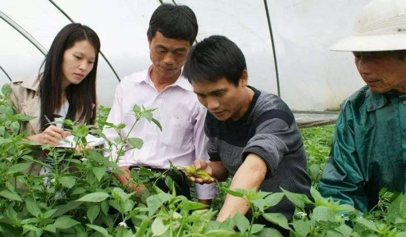 跨國巨頭頻頻布局，殺菌劑為何成為農(nóng)化市場爆發(fā)點？