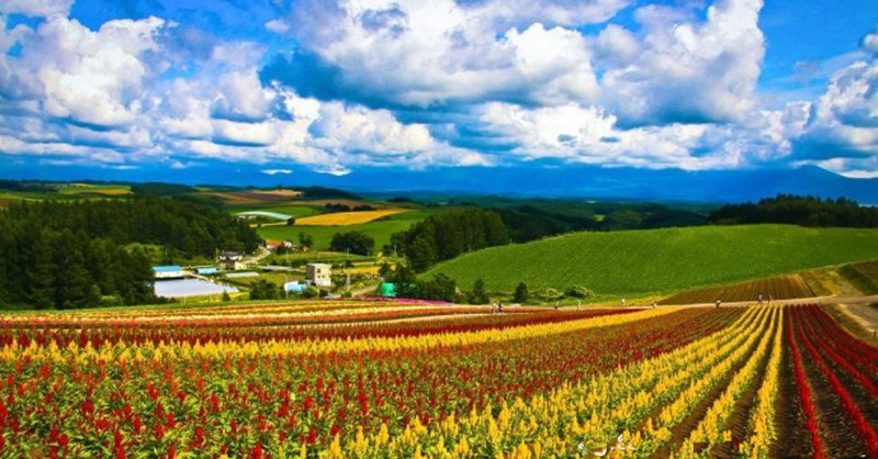 注意：這十五大施肥雷區碰不得，嚴重可致絕收?。ńㄗh收藏）