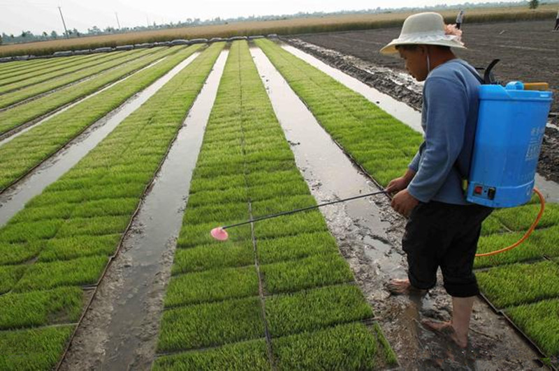三農動態：農村肥料轉有機肥料將有10億新補貼，你知道嗎