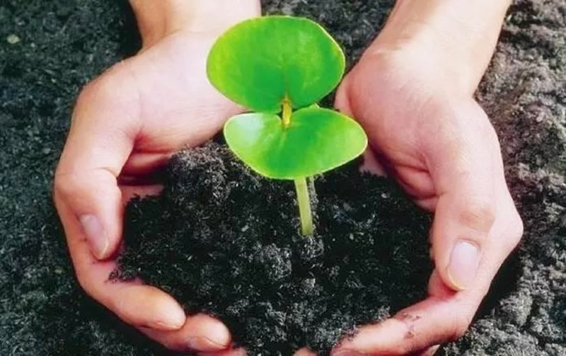 我國土壤肥料學急需正本清源，刻不容緩！