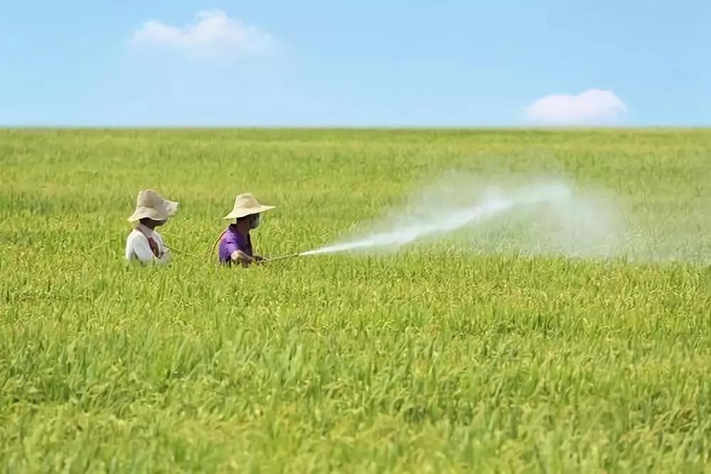 三農日報|農業大棚或受保險政策優待；中國除草藥肥行業"不創新就得死"；