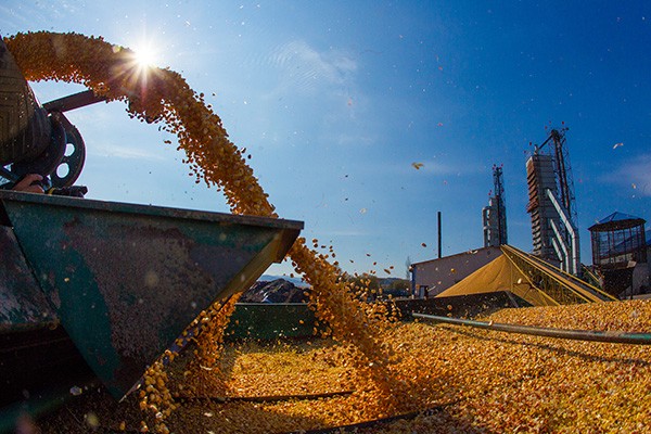 農資行業|中國最火的化肥市場