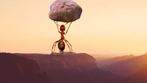 2019年農資市場3大痛點，沒痛點你就是成功者 