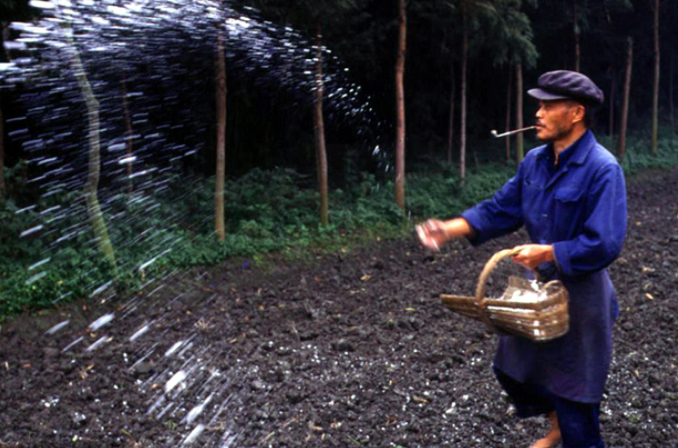 2019年中國化肥行業市場分析：環保政策高壓導致市場銷量下降 卻利好有機化肥發展 