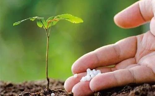 2020年，農資行業注定不平凡：提高核心競爭力是唯一出路