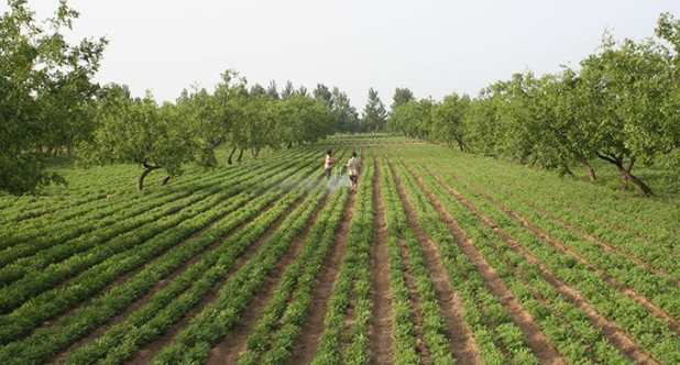 如何用互聯(lián)網(wǎng)思維賣化肥（方法可復(fù)制）