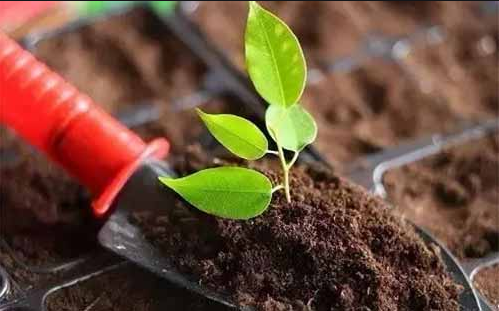 有機(jī)肥對(duì)農(nóng)業(yè)的7大貢獻(xiàn)！無可替代 