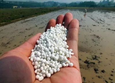 【深度觀察】央視：人均每年“吃化肥”40斤！農(nóng)業(yè)種植方式面臨大洗牌