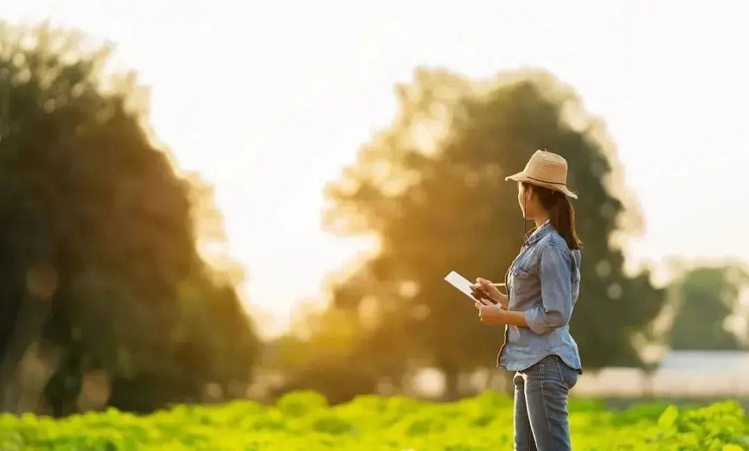 三農日報|券商：數字化賦能傳統農業；數據：中國有機肥使用嚴重不足