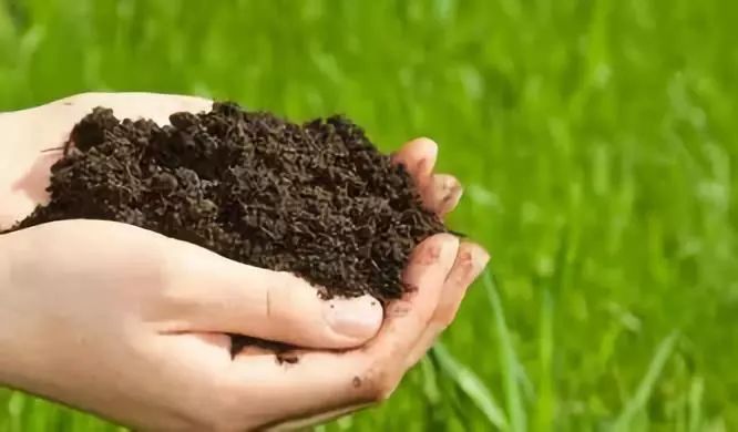 【農資行業】國家發文：未來最有前途的肥料誕生了！