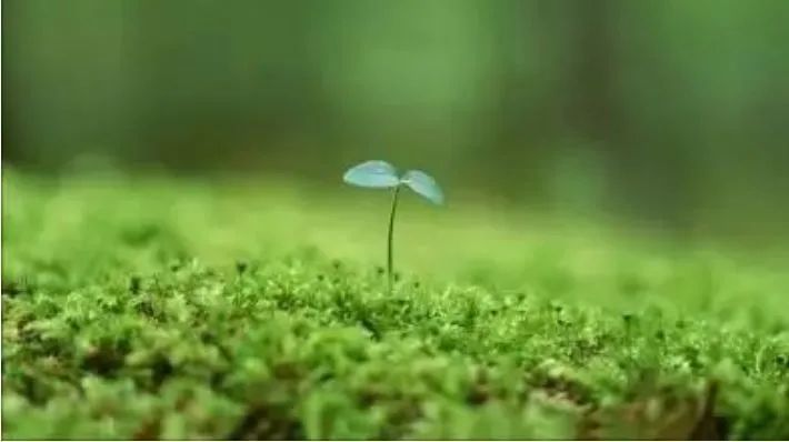 三農日報|我國構建國家農業產業科技戰略力量；專家：生物肥料功能和科技更優