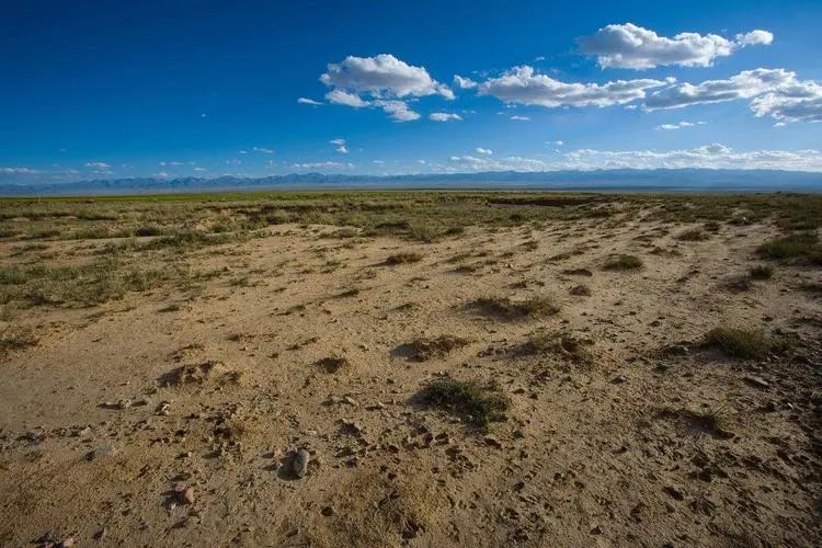 【新農(nóng)業(yè)】微生物肥料產(chǎn)業(yè)迎來爆發(fā)機遇！