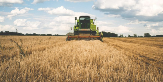 農(nóng)業(yè)產(chǎn)業(yè)周報|芭田股份、先正達、大北農(nóng)、國聯(lián)水產(chǎn)最新動態(tài)