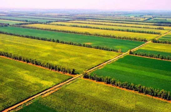 三農(nóng)日?qǐng)?bào)|政策：國(guó)家發(fā)力高標(biāo)準(zhǔn)田；數(shù)據(jù)：中國(guó)微生物肥產(chǎn)業(yè)如火如荼