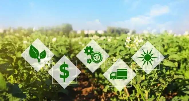 變革在即！阿里、先正達(dá)、匯通達(dá)、飛企鏈、富邦探索農(nóng)資數(shù)字化