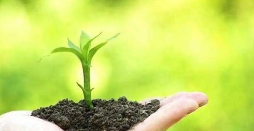 有機(jī)肥產(chǎn)業(yè)將達(dá)5000億元，但行業(yè)尚未形成工業(yè)化規(guī)模生產(chǎn)，未來你該怎么辦？